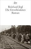 Die Unvollendeten: Roman - Reinhard Jirgl