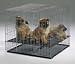 Midwest Puppy Playpen Model 236-10