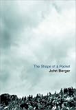 The Shape of a Pocket (Vintage International)