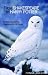 Search : From Shakespeare to Harry Potter:  An Introduction to Literature for All Ages