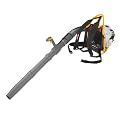 52% off the Ryobi Gas Powered Backpack Blower