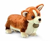 Russ Yomiko Corgi, 16
