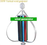 GOWE 300w Vertical wind generator /wind turbine 12v/24v Auto distinguish ,CAGE TYPE