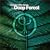 The Essence Of Deep Forest