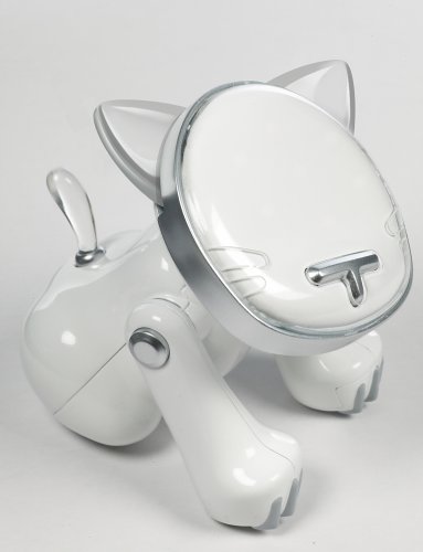 i-Cat