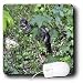 WhiteOak Photography Animal Prints - A cat hiding in bushes - Mouse Pads