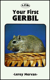 Your First Gerbil
