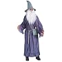 The Lord Of The Rings Gandalf Adult (Standard One-Size)