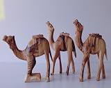 Holy Land Camels Set of Three