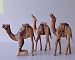 Holy Land Camels Set of Three