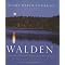 Authors That Self-Published