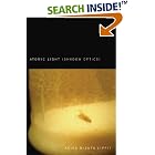 Atomic Light (Shadow Optics) by  Akira Mizuta Lippit