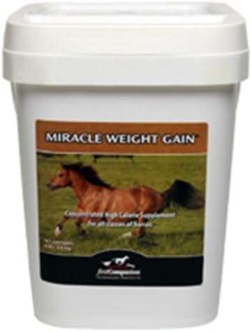 Miracle Weight Gain Concetrate High Calorie Supplement Horse Equine 8 Pounds
