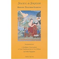 Soleil de Sagesse : L'intelligence transcendante