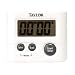 Taylor Digital Timer