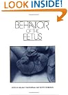 Behavior of the Fetus