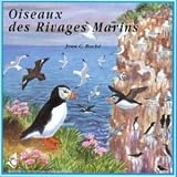 Sea Shore Birds