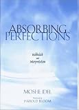 Absorbing Perfections: Kabbalah and Interpretation