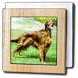 Irish Setter - 6 Inch Tile Napkin Holder