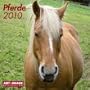 2010 Horses A&I Grid Calendar (English, German, French, Italian, Spanish, Dutch and Russian Edition)