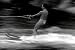 Vintage Sports Films DVD: 1940's - 1960's Sports Video Clips Including Gymnastics, Bo...