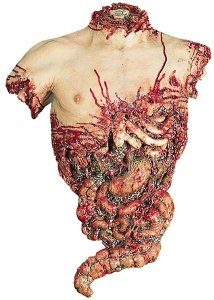Gory Bloody Half Human Torso Halloween Prop
