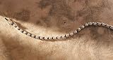 Jacquelin Farre Genuine Diamond Tennis Bracelet
