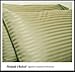 1200 Thread Count 4pc Queen Bed Sheet Set 100% Egyptian Cotton, Sateen Stripe, Deep Pocket, 1200 TC, Stripe Sage-Green