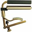 Shubb C6B Dobro Capo