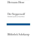 Der Steppenwolf. book cover