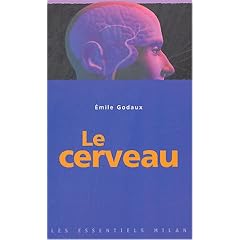 Le Cerveau