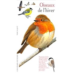 Oiseaux de l'hiver
