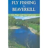 fly fishing the beaverkill