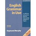 English Grammar in Use: A reference and practice book for intermediate students of English