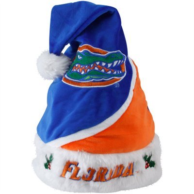 Florida Gators 2010 Colorblock Plush Swoop Santa Hat