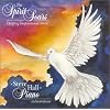 The Spirit Soars