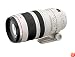 Canon EF 100-400mm f4.5-5.6L IS USM Telephoto Zoom Lens for Canon SLR Cameras