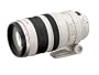 Canon EF 100-400mm f4.5-5.6L IS USM Telephoto Zoom Lens for Canon SLR Cameras
