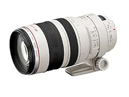 Canon EF 100-400mm f4 5-5 6L IS USM Telephoto Zoom Lens for Canon SLR Cameras