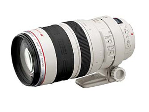 Canon EF 100-400mm f4.5-5.6L IS USM Telephoto Zoom Lens for Canon SLR Cameras