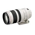 Canon EF - T�l�objectif zoom - 100 mm - 400 mm - f/4.5-5.6 L IS USM - Canon EF