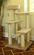 48" Kitty Cat Jungle Gym
