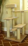 48 Kitty Cat Jungle Gym
