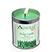 Aurorae 6.8 oz Eucalyptus Scented Soy Aromatherapy Candle