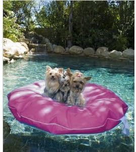 Pet Pool and Deck Lounger Rasberry (MD 39") by GoodLife Designs