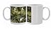 Photo Mugs of ROG-12121 A Garden Yucca from Ardea Wildlife Pets