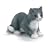 Schleich Cat