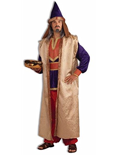 Forum Novelties 65824F Mens Garnet Wiseman Costume