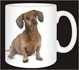 Review Advanta  / DACHSHUND DOG Coffee Mug