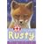 Rusty: The Injured Fox Cub (Animal Rescue)